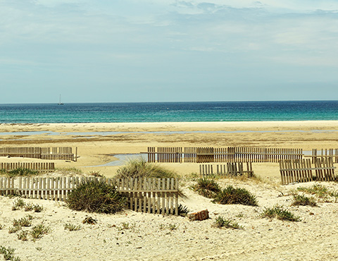 Tarifa